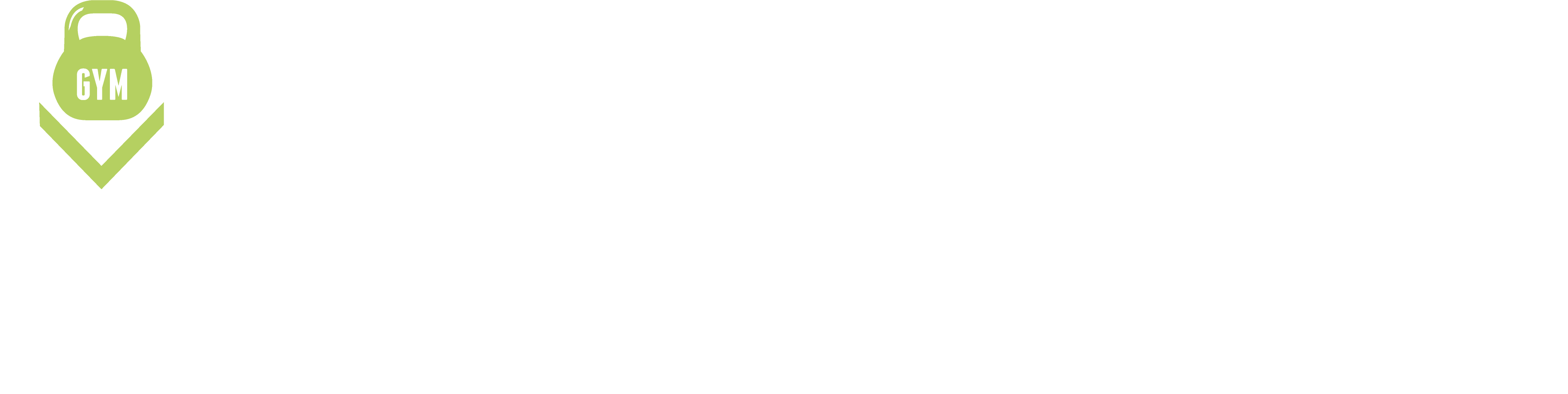Mert Ozcan Studio logosu