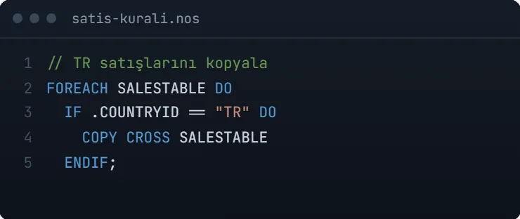 AinosERP NOS language code editor